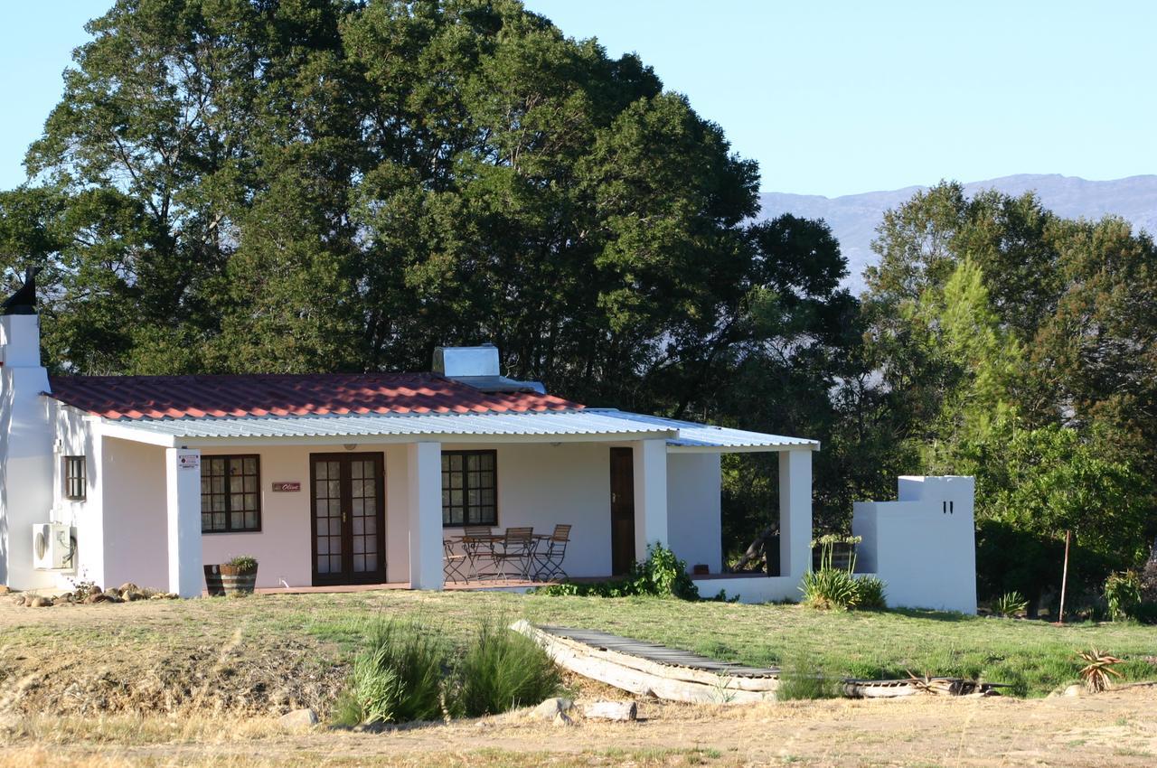 Fraaigelegen Farm - Home Of Adhara Evoo Tulbagh Exterior foto